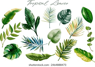 Watercolor tropical leaves. Set of exotic leaves. Palm leaves. Hand drawn floral illustration. 