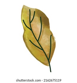 Watercolor tropical nature leaf element
