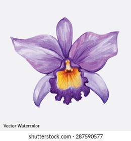 Watercolor tropical orchid flower. Vector illustration.