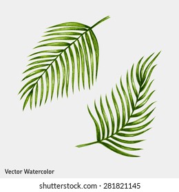 Watercolor tropical palm leaves. Vector illustration.