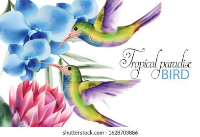 Watercolor tropical paradise birds with colorful feathers