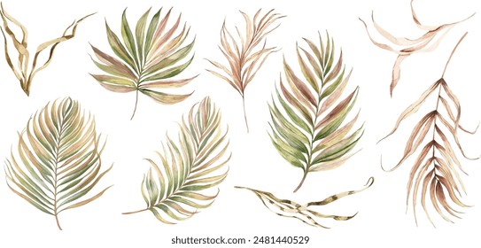 Watercolor tropical set with dry dried boho palm leaves and pampas grass. Hand painted exotic leaves isolated on white background. Floral illustration for design, print, fabric or background.