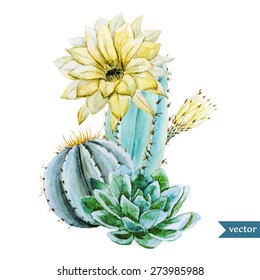 watercolor tropical vector drawing with cactus