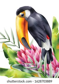 Watercolor tucano bird sitting in tropical flowers and green leaves