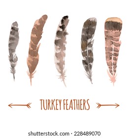 Watercolor Turkey Feathers Collection.