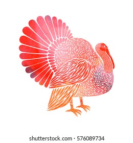Watercolor turkey on white background. Turkey logo, turkey sign.