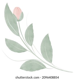 A watercolor twig with green leaves and a flower. Rose. Bouquet. Vector illustration isolated on a white background. Watercolor style.