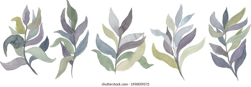 watercolor twigs with leaves of different colors vector isolated elements.