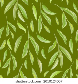 ramitas acuarelas con hojas sin costura. Fondo tropical natural. Vector