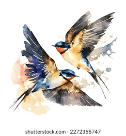 Watercolor two flying swallows isolated in white background, vector illustration.