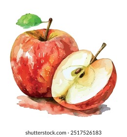 Watercolor vector of Apple fruit, isolated on a white background, and Apple vector