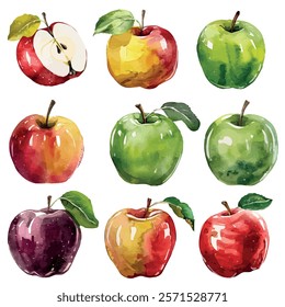 Watercolor vector of Apple, isolated on a white background, Apple painting
