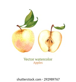 Watercolor vector apples