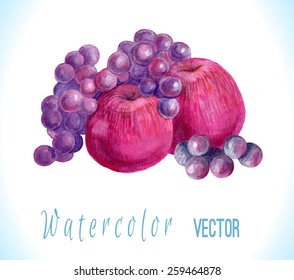 Watercolor  vector apples, grapes.