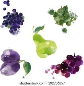 watercolor vector artichoke