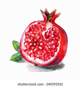 Watercolor vector artwork with a pomegranate. Hand drawn by watercolor