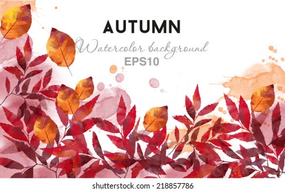 watercolor vector autumn background