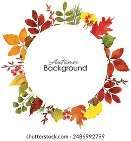 Watercolor vector autumn frame with leaves and branches. Autumn foliage watercolor frame, fall leaves, acorns, berries, spruce branch. Forest design elements illustration