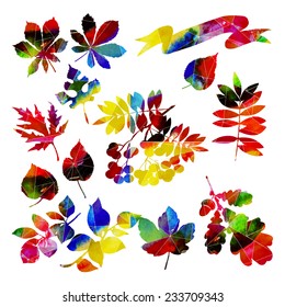 watercolor vector  autumn set
