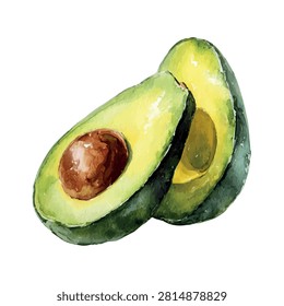 Watercolor vector of avocado, isolated on a white background, avocado painting