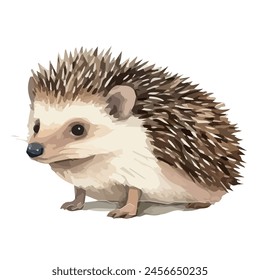 watercolor Vector of a baby hedgehog, isolated on a white background, clipart, Drawing, Graphic design.