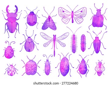 Watercolor vector background. Bugs and butterflies.