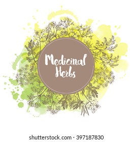 Watercolor vector background of medicinal herbs