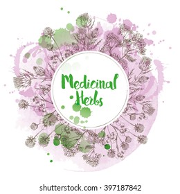 Watercolor vector background of medicinal herbs