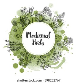 watercolor vector background of medicinal herbs