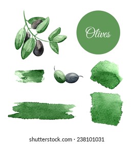 Watercolor vector background with olives. Can be used for wallpaper,  banners, invitation, pack, web page.
