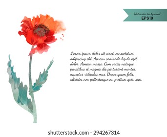 Watercolor vector background of poppy