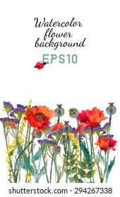 Watercolor vector background of poppy