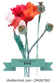 Watercolor vector background of poppy