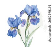 Watercolor vector of blue iris flower, isolated on a white background, blue iris flower painting