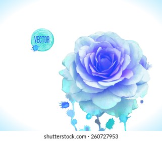  Watercolor vector  blue rose. 