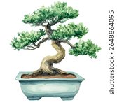 A watercolor vector of bonsai tree in a rectangular porcelain pot, isolated on white background.