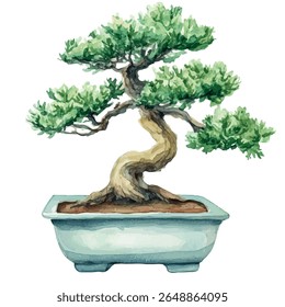 Um vetor aquarela de árvore bonsai em um vaso retangular de porcelana, isolado em fundo branco.