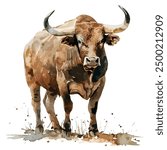 Watercolor vector of Bull, isolated on a white background, Bull painting