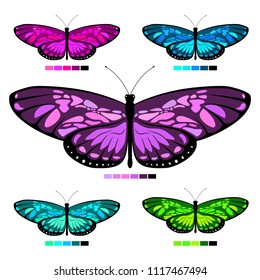 Watercolor vector butterfly set with palette for children coloring book. Colors butterflies isolated on white background for colored sand picture. Pretty cartoon butterfly set for child.