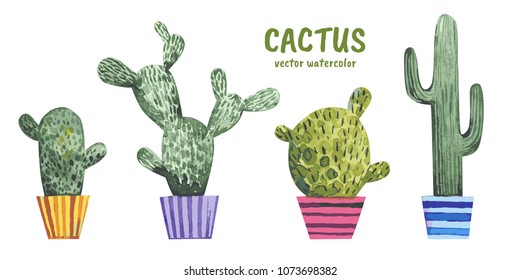 Watercolor vector cactus