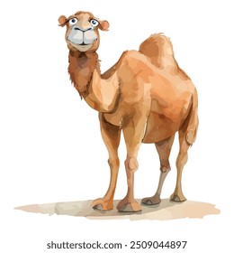 Watercolor vector of camel, isolated on a white background, camel painting