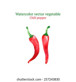 Watercolor vector chili pepper