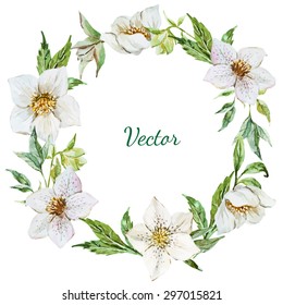 Watercolor Vector Christmas Wreath, Flower Hellebore, Tender White Wreath