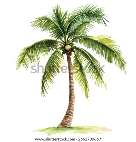 Watercolor vector of coconut tree, isolated on a white background, coconut tree painting