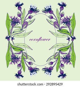watercolor vector cornflower pattern for wedding and cosmetic design