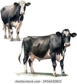 Vector de acuarela de colección de vaca, aislado sobre un fondo blanco, arte de diseño, Clipart de dibujo, cuadro de ilustración, logotipo gráfico, Vector de vaca	