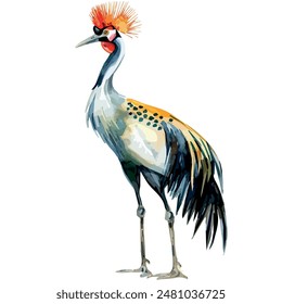 Watercolor vector of Crowned Crane, isolated on a white background, Crowned Crane vector, drawing clipart, Illustration Vector, Graphic Painting, design art, logo