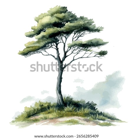 A watercolor vector of a cypress tree in a misty landscape, isolated on white background.