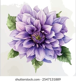 Watercolor vector of dahlia flower, isolated on a white background, dahlia painting