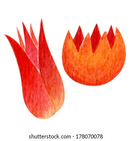 watercolor vector decorative flowers